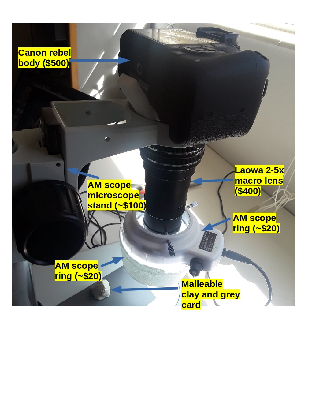 The full imaging setup: a Canon Rebel body and Laowa 2.5-5x macro lens on an AmScope microscope stand, with a styrofoam-diffused LED ring light, malleable clay and a grey card